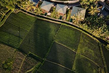 민박 Grün Canggu
