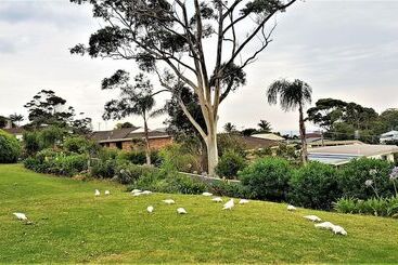 Mollymook Ocean View Motel Rewards Longer Stays  Over 18s Only