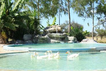 Пансион Bambi Lodge