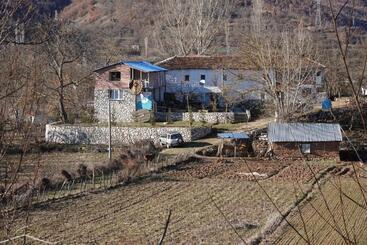 پانسیون Guesthouse Arber