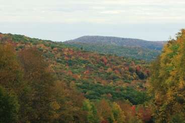 Отель Cold Spring Lodge