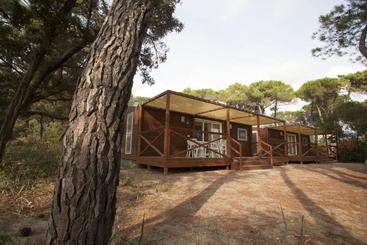 هتل Puntala Camp & Resort