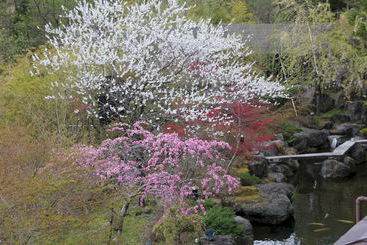 Okunoin Hotel Tokugawa