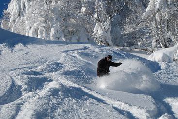 هتل Snowshoe Mountain Resort - Snowcrest