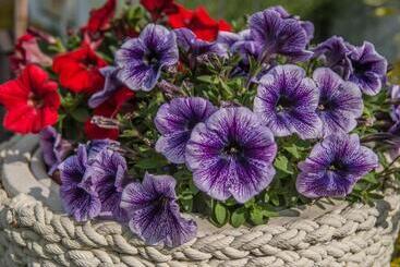 호스텔 Pod Wzgórzem Bed & Breakfast