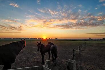 ペンション Gastenverblijf Bie Zus