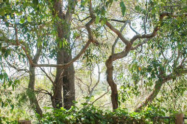 تختخواب و صبحانه Hideaway Haven