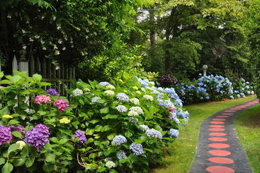 Melange Bed And Breakfast