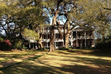 The Elms Bed And Breakfast