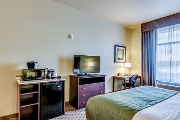 Отель Cobblestone Inn & Suites   Waverly