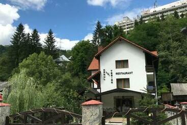 بنسيون Hanul Lui Traian