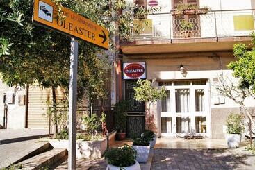 Bed & Breakfast Oleaster