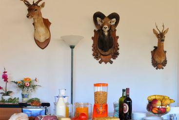 هتل La Fornace Di Racciano