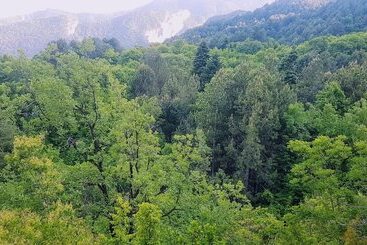 پانسیون Olympus House