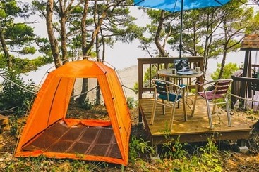 Taean Elvis Pension