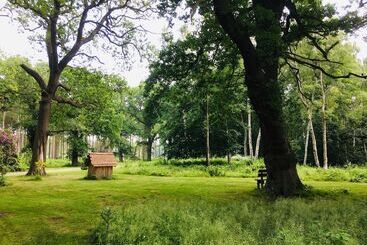 Hollicarrs   Kingfisher Lodge