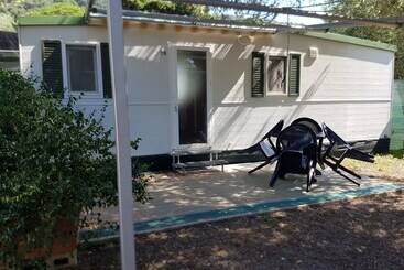 レジデンス Summer Paradise