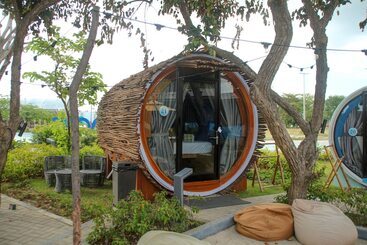 Cocoons Casobe