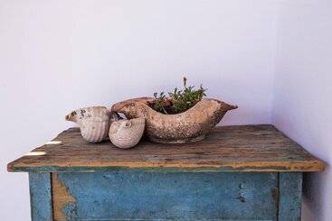 פנסיון Ailouros Guest House