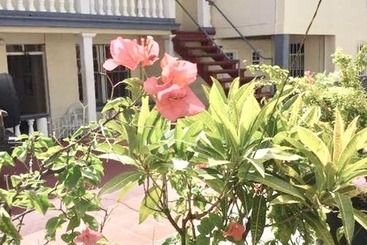 פנסיון Willies Court Apartments