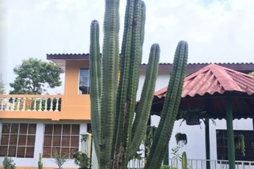 مسافرخانه Los Cactus
