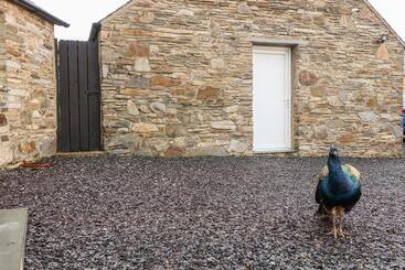 コテージ Garth Morthin The Stables