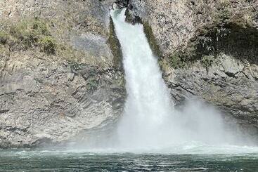 Kır Evi Cabañas Pewma Futrono