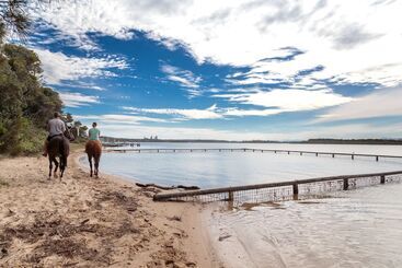 Курорт Big4 Manning Point Holiday Park