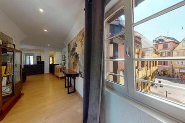 游客公寓 Colmarappart Grand Rue