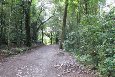 هتل El Bosque Monteverde