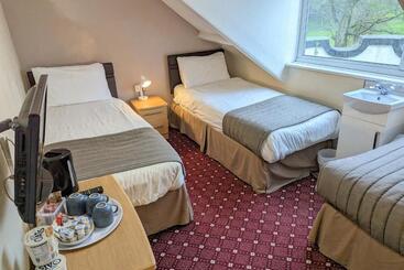 פנסיון The George Guest House