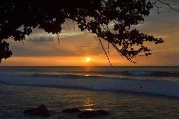 تختخواب و صبحانه Wssm Surf House