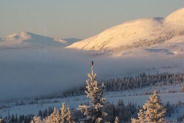 هتل Buustamons Fjällgård