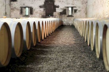 پانسیون Chateau Les Farcies Du Pech