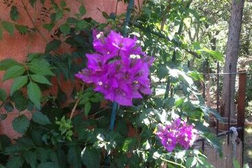 Bed and Breakfast La Casa Delle Fate