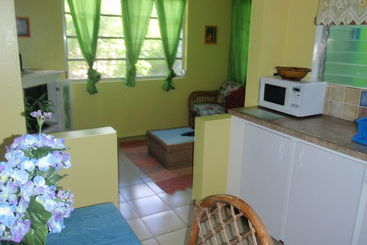 Eldemire's Tropical Island Inn