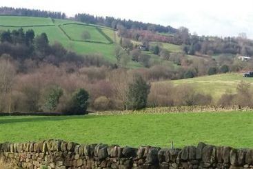Oaks Lane Farm