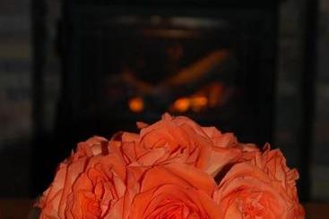 Ardarroch Cottage B&b