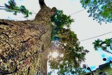 ペンション Jetuka Villa   Sibsagar
