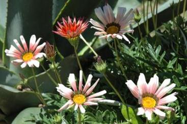 هتل B&b  Villa Coste D Or
