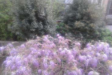 هتل B&b La Villetta