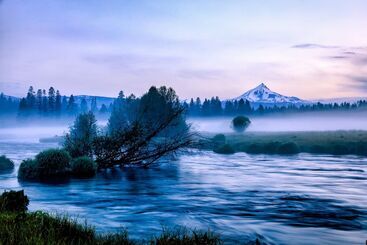 별장 House On Metolius