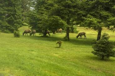 بيت ريفى Serene South Bend Family Escape; Dogs Welcome