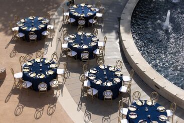 فندق The Westin At The Woodlands