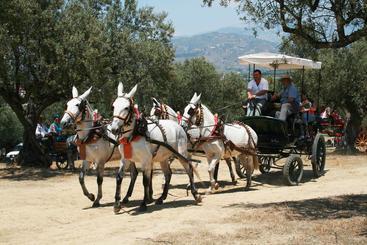 تختخواب و صبحانه Bed&Breakfast Casa Africano