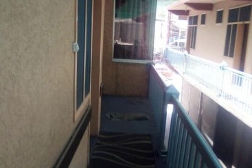 Hotel New Green