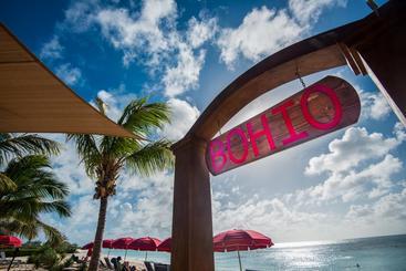 Bohio Dive Resort