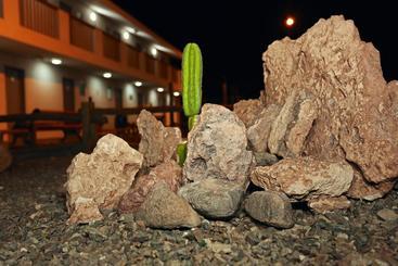 هتل Oasis Eco