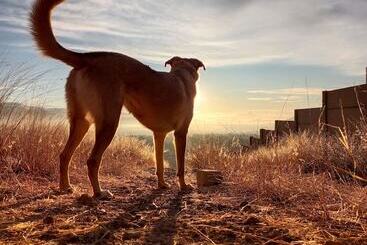 مبيت وإفطار Casa Del Pibe Piola