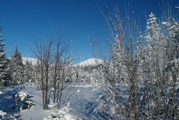 בית מלון כפרי Lesní Bouda